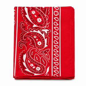 Bandana Rouge Paisley