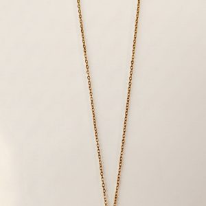 Collier Dog chien doré