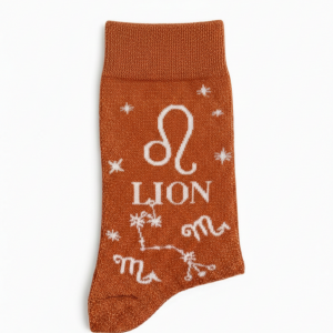 Chaussettes Astro lion